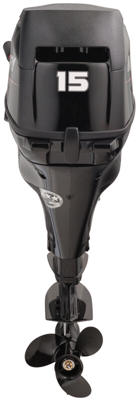 Меркури F15 EL EFI (15 л.с., 4 такта) Меркури F15 EL EFI (15 л.с., 4 такта)